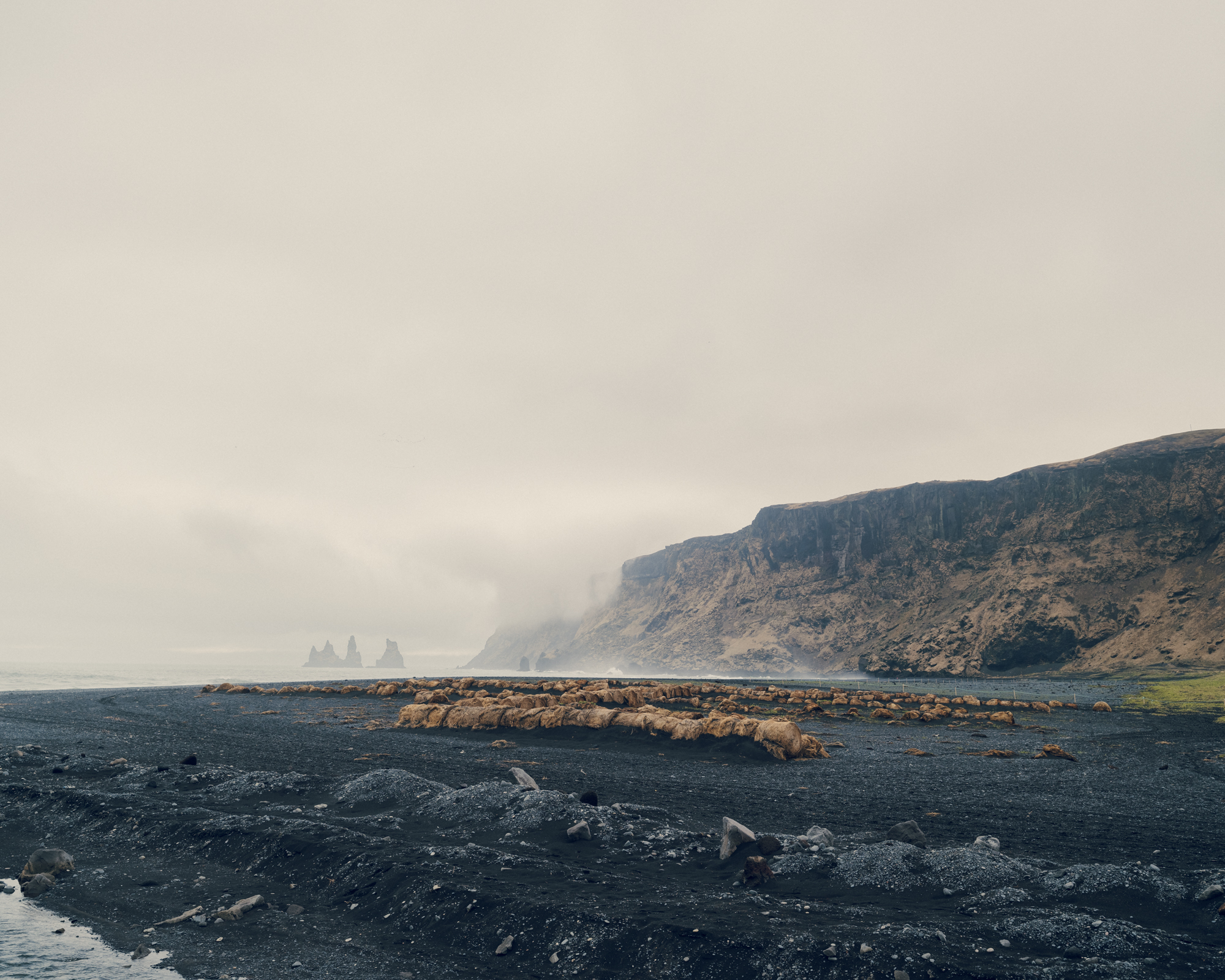 Reynisfjara Black Sand Beach in Iceland: Captivating beauty of Iceland's iconic coastal wonder
